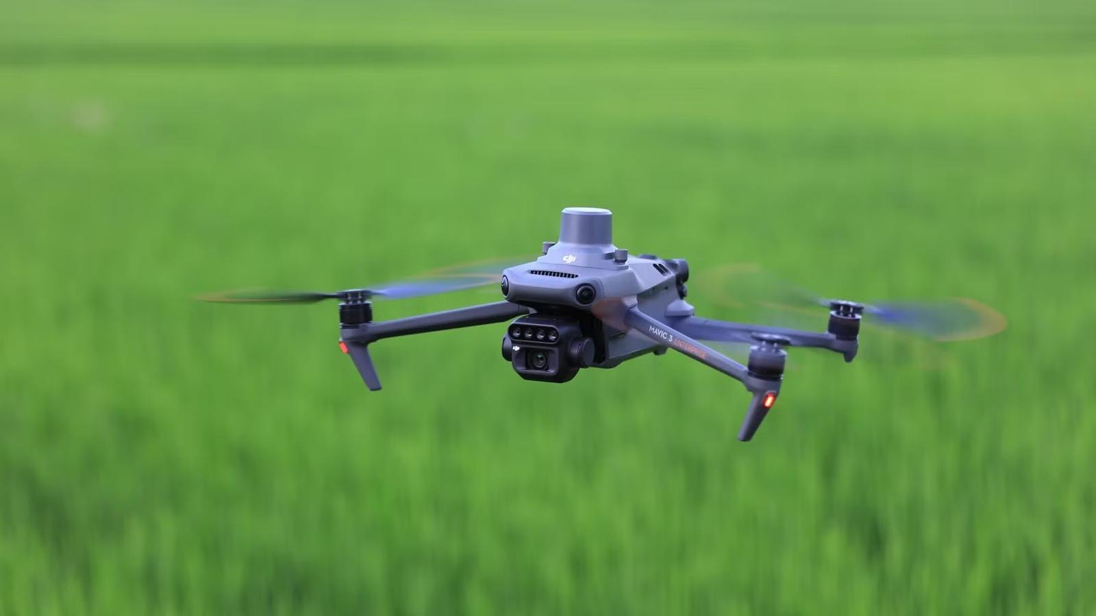 Multispectral survey drone flying low over a green cereal crop
