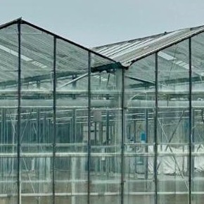 Commercial glasshouse ready for a shading coating