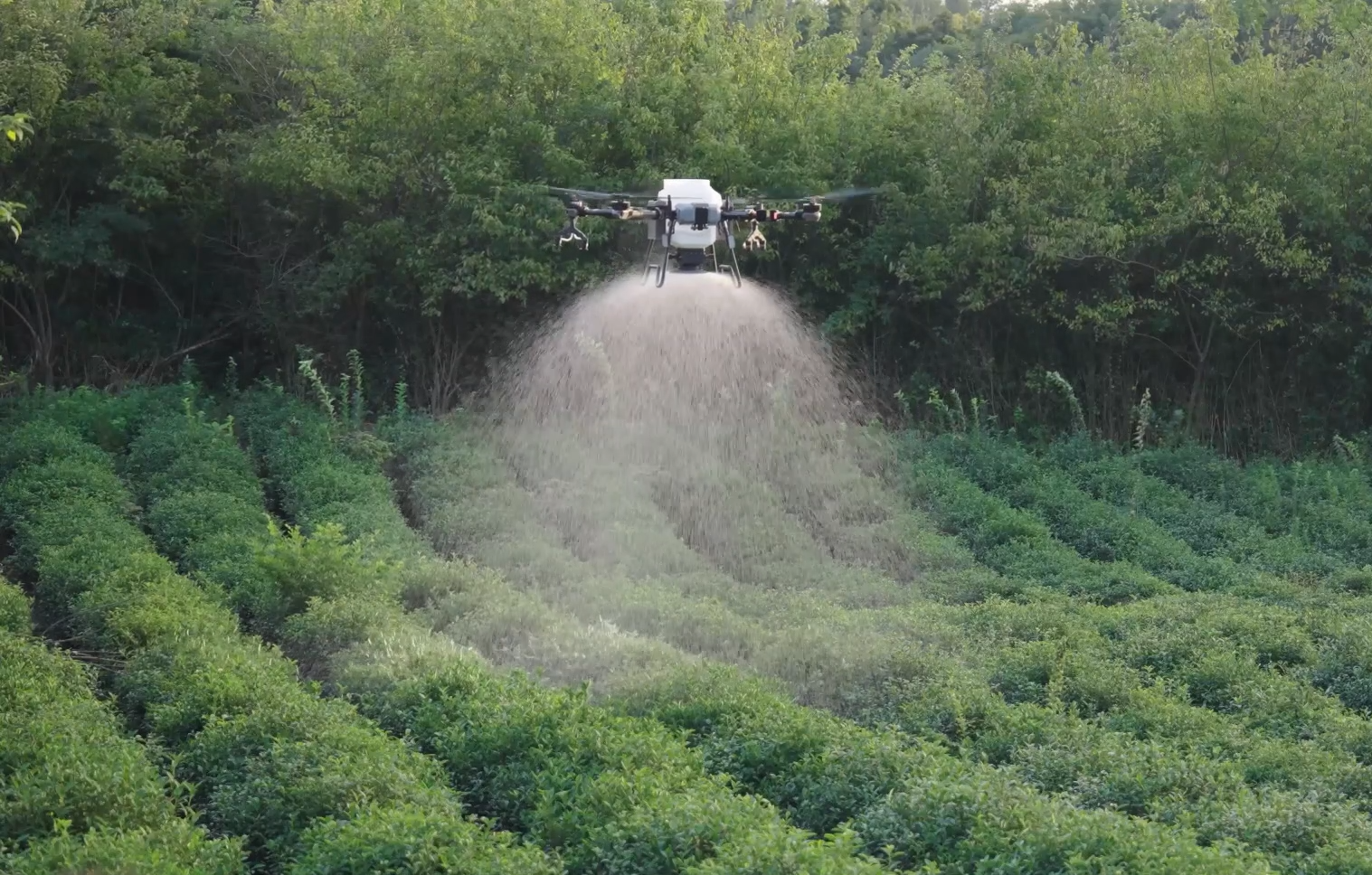 Field Ingenuity FP700 application drone in flight above a crop
